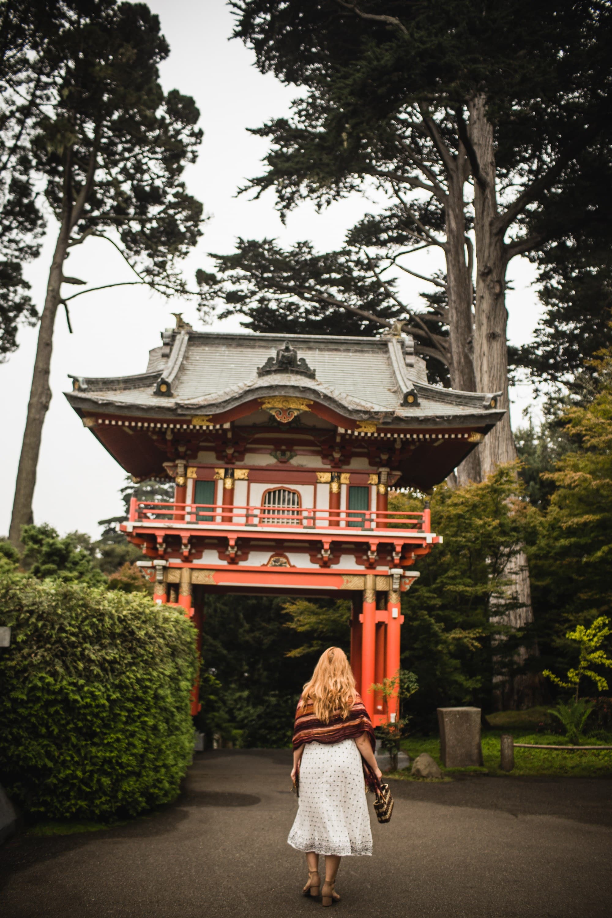 Tips For Visiting The San Francisco Japanese Tea Garden