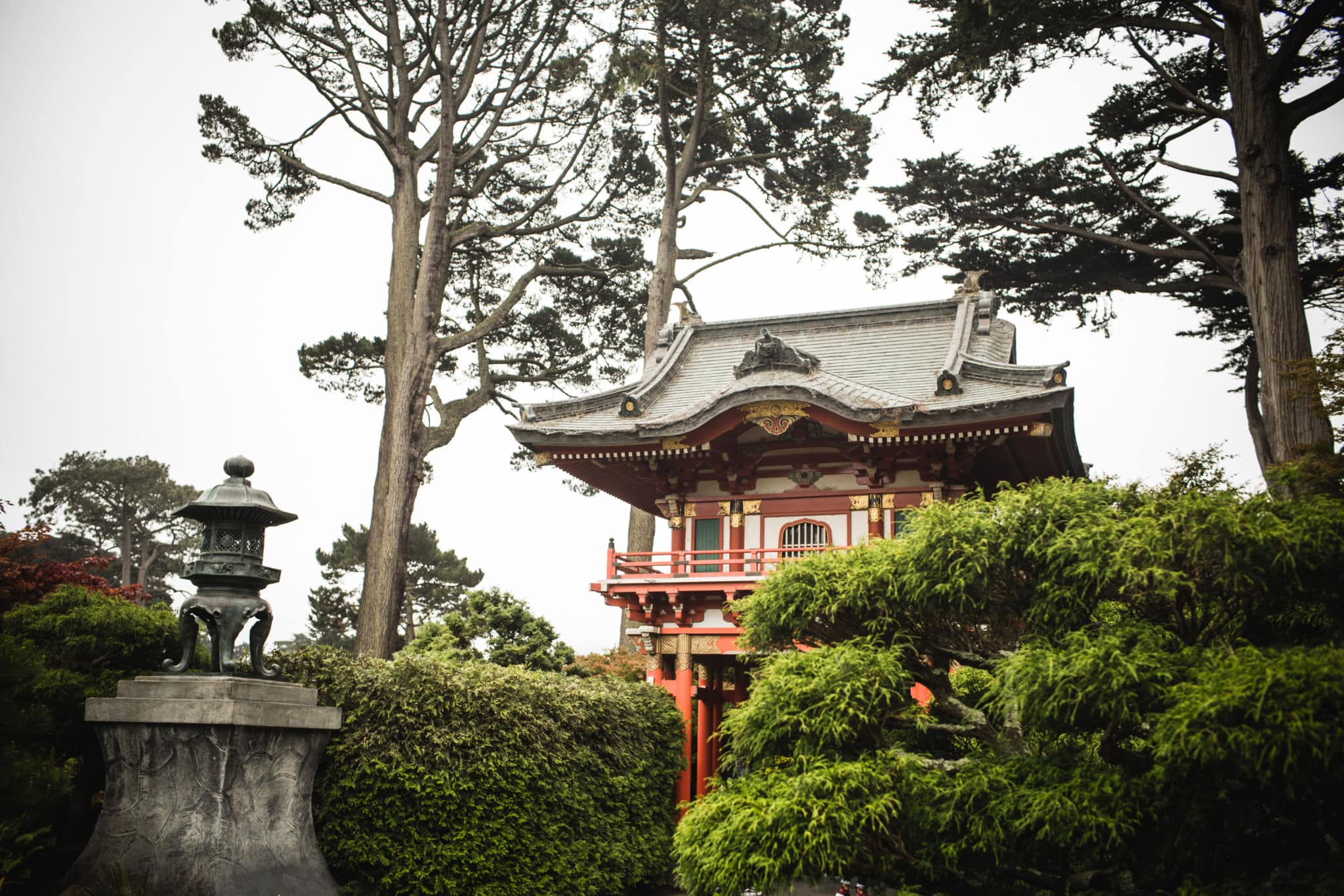 Tips For Visiting The San Francisco Japanese Tea Garden