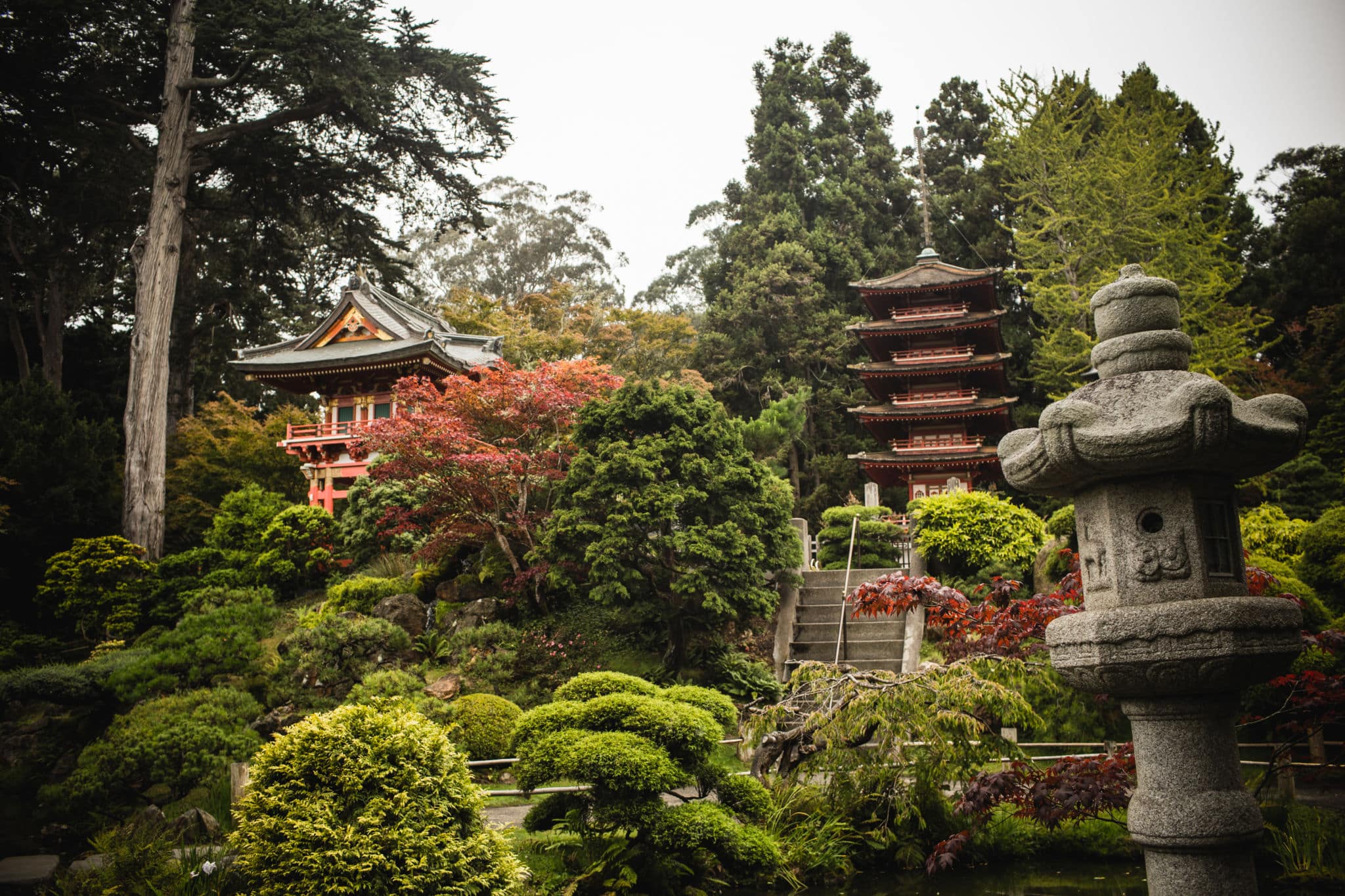 Tips For Visiting The San Francisco Japanese Tea Garden