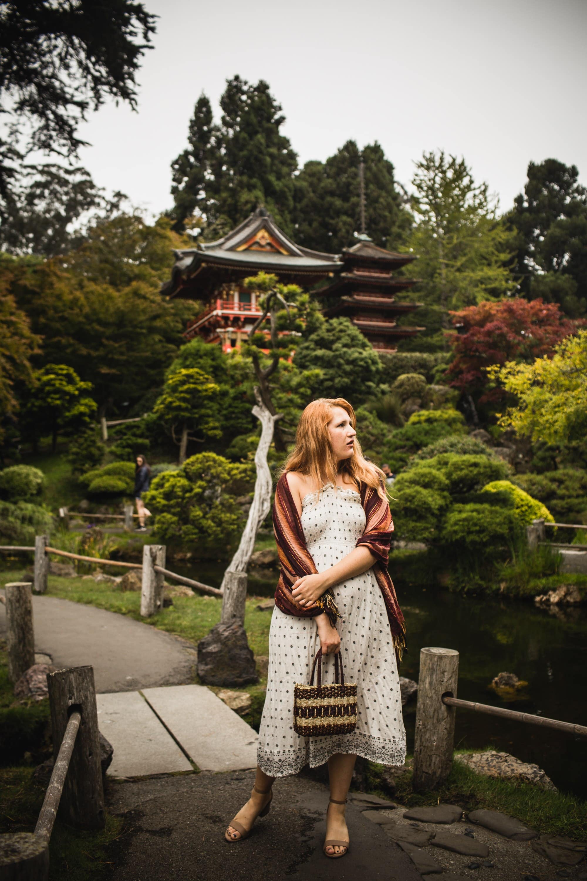 Tips For Visiting The San Francisco Japanese Tea Garden