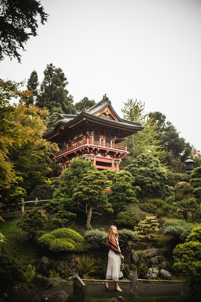 Tips For Visiting The San Francisco Japanese Tea Garden