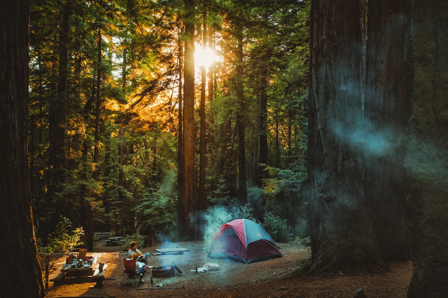 Inside The Ventana Campground at Big Sur