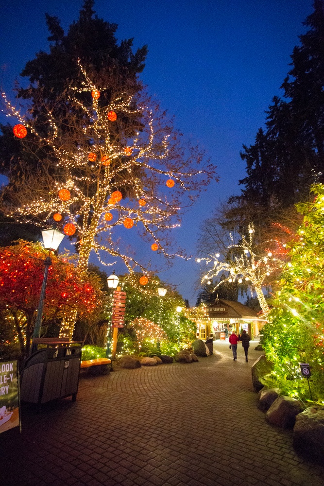 Capilano Suspension Bridge Christmas Best Time To Visit, What To