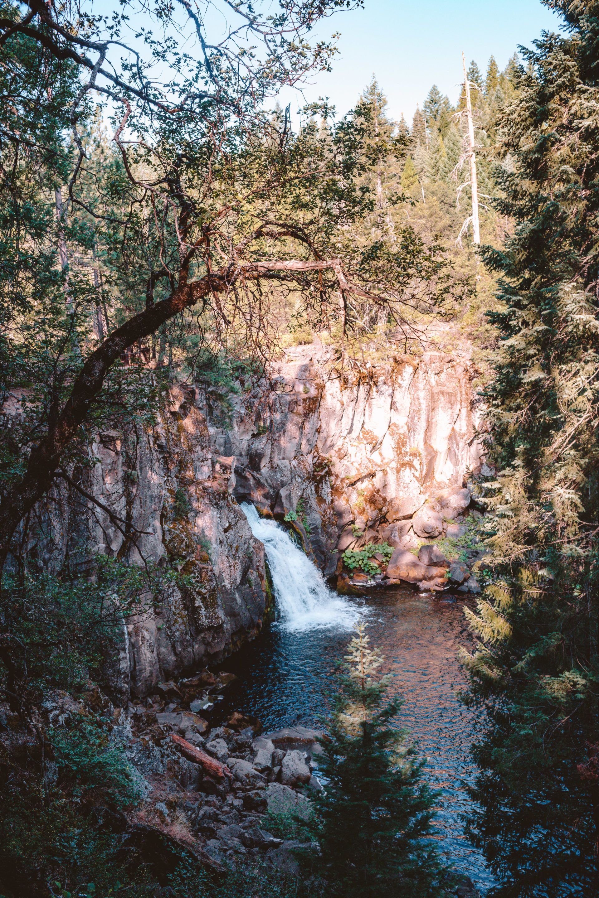 McCloud Falls MustKnow Hiking Tips & Huge Area Travel Guide
